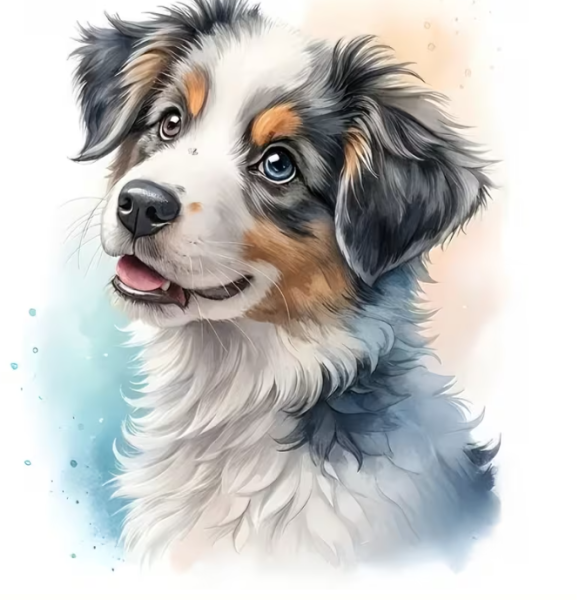 Diamond Painting Border Collie